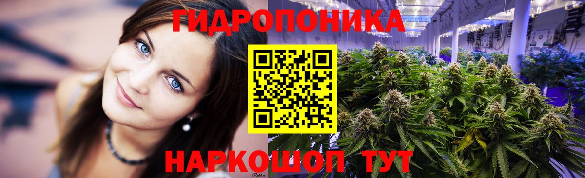 Бошки марихуана OG Kush Жуковский